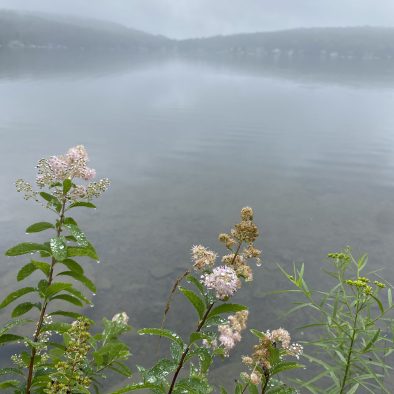 Foggy Day by the lake_2